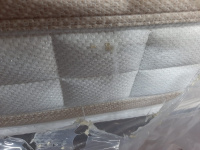 WhatsApp Image 2025-01-30 at 08.44.35 WhatsApp Image 2025-01-30 at 08.44.35