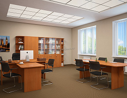 Кабинет Гермес (Клен ванкувер)