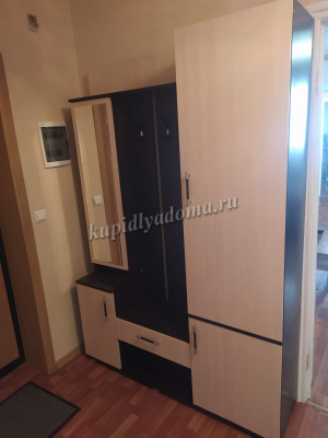 Прихожая Визит (Венге/Анкор светлый)