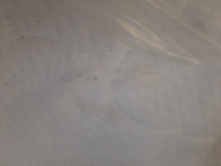 WhatsApp Image 2025-01-30 at 08.45.05 WhatsApp Image 2025-01-30 at 08.45.05