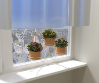 Весна 3_БС_на подоконнике