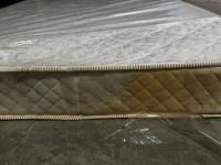 WhatsApp Image 2025-02-17 at 15.55.20 (1) WhatsApp Image 2025-02-17 at 15.55.20 (1)