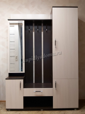 Прихожая Визит (Венге/Анкор светлый)