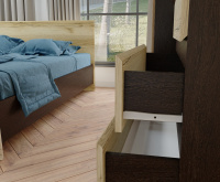 Плейона_близкий ракурс Плейона_близкий ракурс